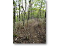 2010-05-16_14-22-25