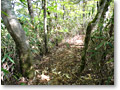 2010-05-16_14-31-01