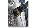 2009-10-27_07-40-54