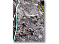 2009-10-27_07-52-55