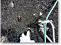2009-10-27_07-57-04