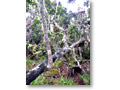 2009-10-27_09-37-01