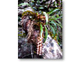 2009-10-27_09-43-01