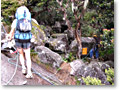 2009-10-27_10-42-28