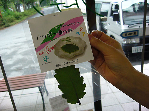 P1020219