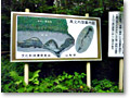 2009-07-23_17-14-26