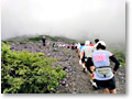 2010-07-23_09-25-23
