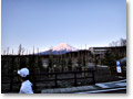 2010-04-25_05-02-41