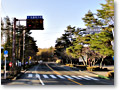 2010-04-25_06-05-50
