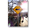 2010-04-25_06-33-48