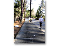 2010-04-25_07-36-10