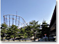 2010-04-25_08-34-34