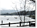 2010-04-24_13-23-08