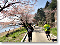 2010-04-25_09-27-43