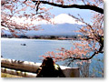 2010-04-25_09-30-45