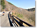 2010-04-25_14-43-58