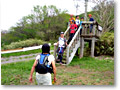 2009-05-03_11-28-46