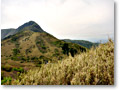 2009-05-03_13-31-06