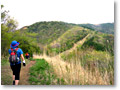 2009-05-03_14-04-17