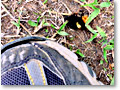 2009-05-03_14-24-35