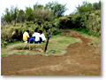 2009-05-03_14-34-38