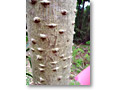 2009-05-03_15-31-56