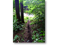 2009-05-03_15-47-14