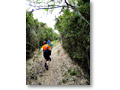 2009-05-03_10-53-18