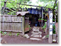 2009-05-16_11-48-56