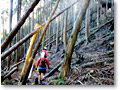 2009-12-19_10-41-19
