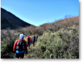 2009-12-19_10-50-36