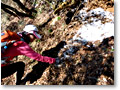 2009-12-19_11-05-45