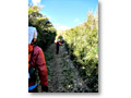 2009-12-19_12-44-59