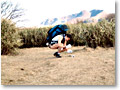 2009-12-19_13-00-21