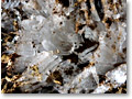 2009-12-19_09-48-02