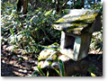 2009-12-19_10-26-04