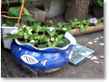 2008-10-12_12-31-24
