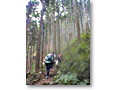 2008-10-19_10-48-60