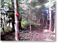 2008-10-19_11-49-60