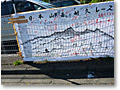 2009-10-11_11-49-33