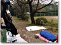 2009-10-12_08-32-08