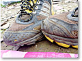 2009-10-12_08-19-09