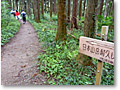 2009-10-17_10-09-42