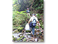 2009-10-17_13-41-56