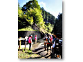 2010-10-10_14-12-04