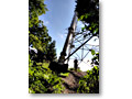 2010-10-10_14-16-56