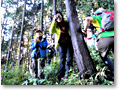 2010-10-10_15-52-41