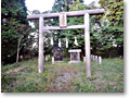 2010-10-10_16-45-35