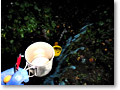 2010-10-10_23-01-50