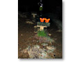 2010-10-11_01-48-59